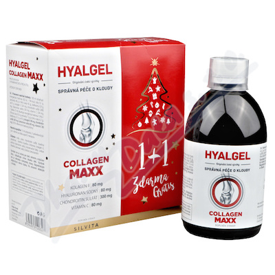 Hyalgel Collagen MAXX vnon balen 2x500ml