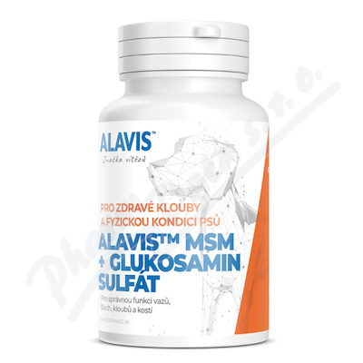 ALAVIS MSM+Glukosamin sulft tbl. 60